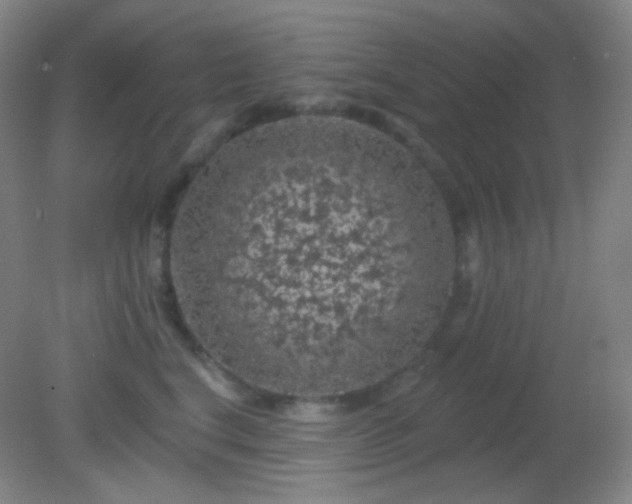 X0000082180664200701270028