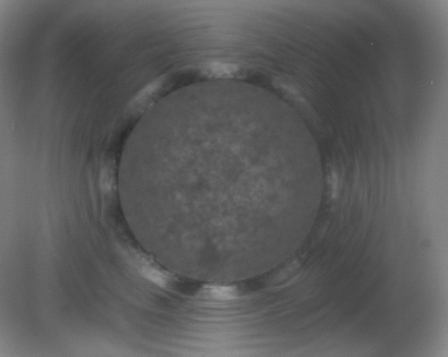 X0000082180665200701270028
