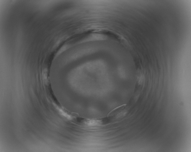 X0000082180670200701270028
