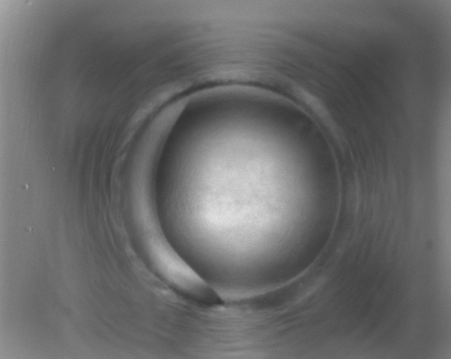 X0000082180673200701270027