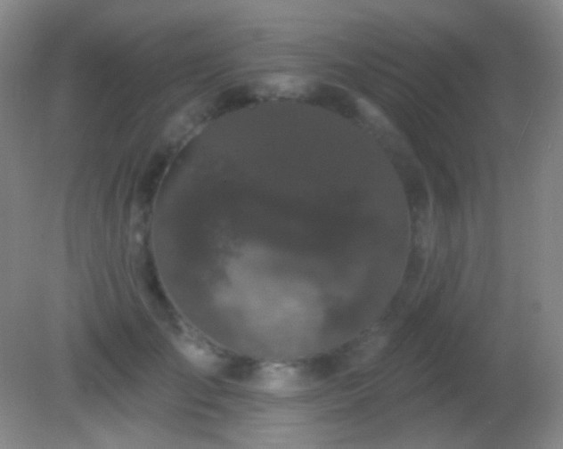 X0000082180701200701270027