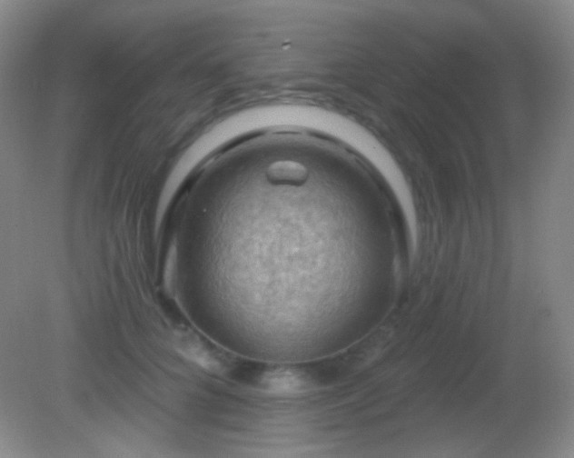 X0000082180704200701270027