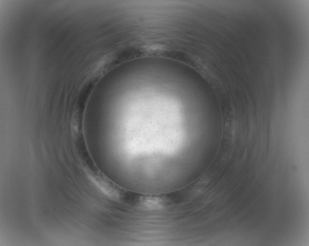X0000082180710200701270027