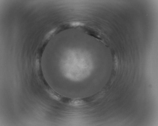 X0000082180716200701270026