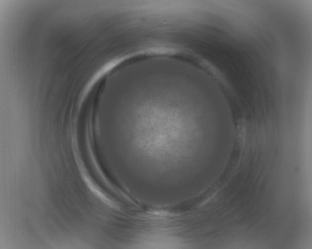 X0000082180726200701270026