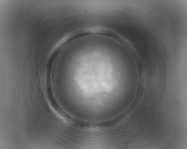 X0000082180730200701270026
