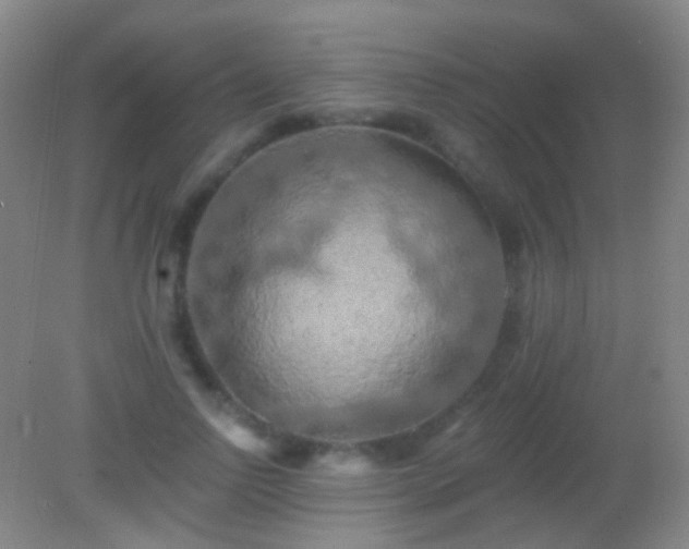 X0000082180742200701270026