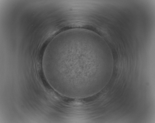 X0000082180743200701270026