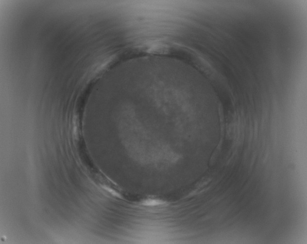 X0000082180748200701270026