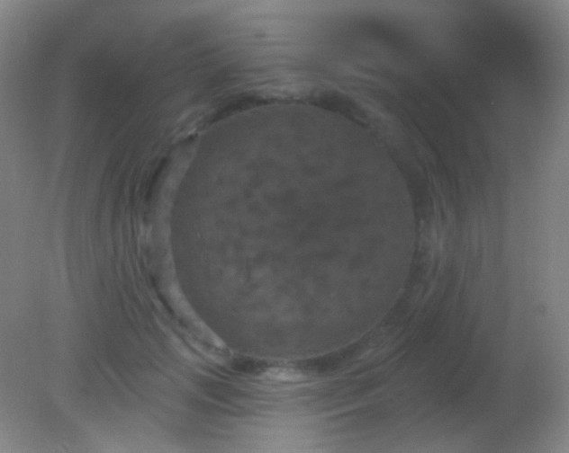 X0000082180749200701270026