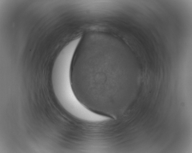 X0000082180752200701270026