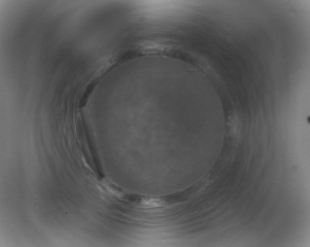 X0000082180753200701270026