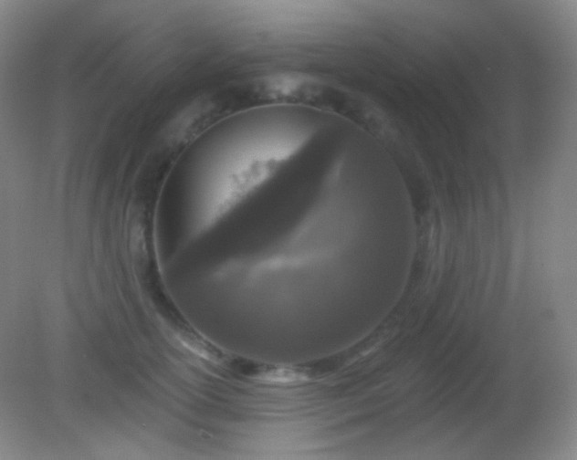 X0000082180754200701270026