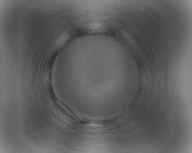 X0000082180756200701270026