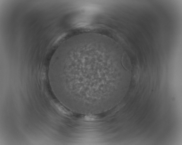 X0000082180758200701270026