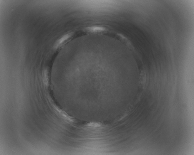 X0000082180762200701270026