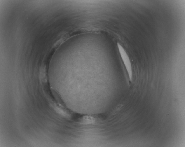 X0000082180764200701270026