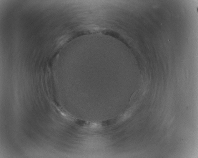 X0000082180768200701270026