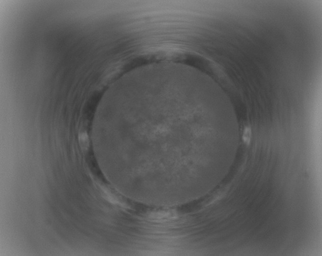 X0000082180771200701270025