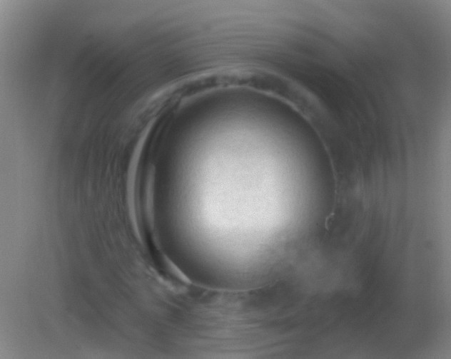 X0000082180773200701270025