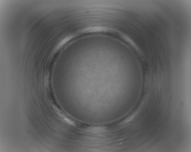 X0000082180778200701270025