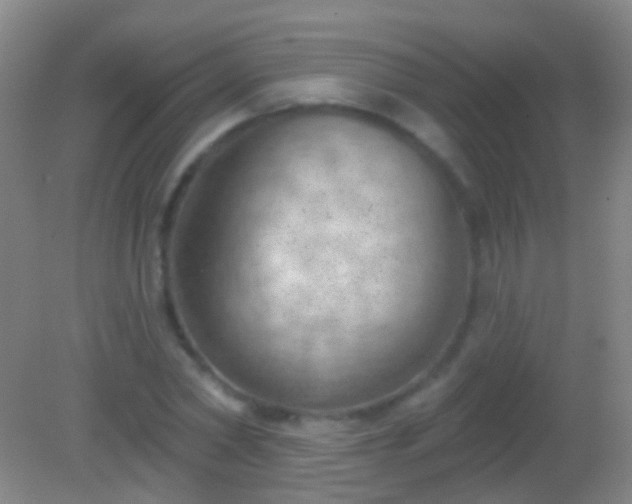 X0000082180782200701270025