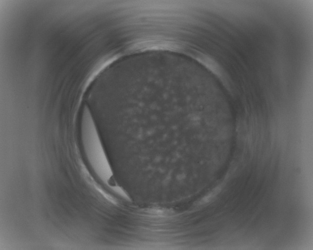 X0000082180790200701270025