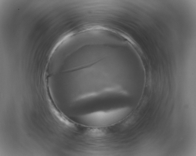 X0000082180806200701270025
