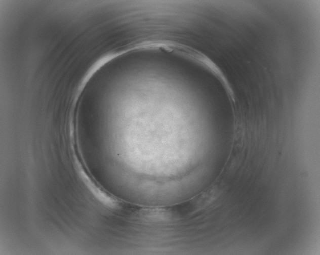 X0000082180811200701270025