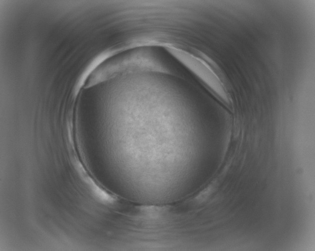 X0000082180812200701270025