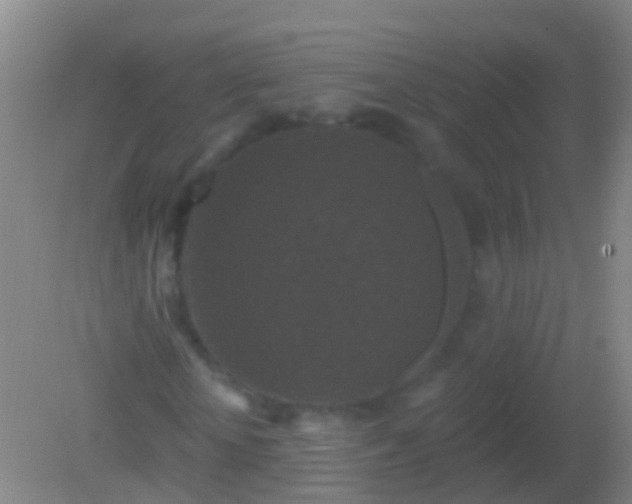 X0000082180818200701270024