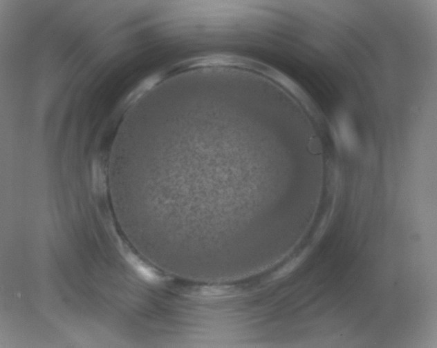 X0000082180857200701270025
