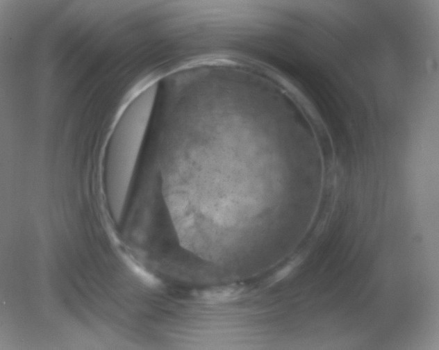 X0000082180858200701270025