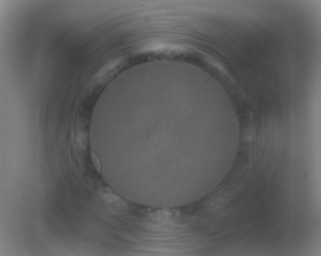 X0000082180869200701270024