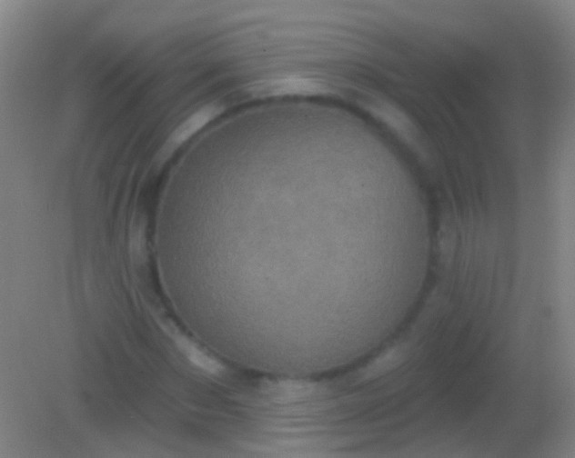 X0000082180873200701270024