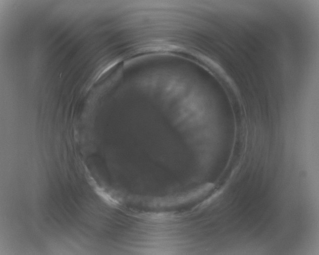 X0000082180889200701270023