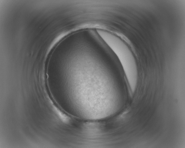 X0000082180894200701270023