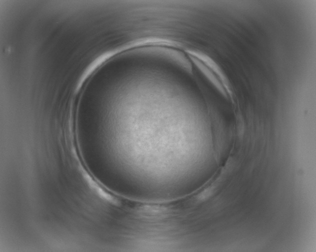 X0000082180910200701270023