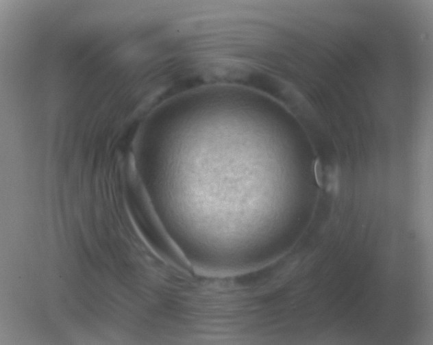 X0000082180915200701270022