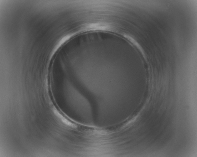 X0000082180941200701270023