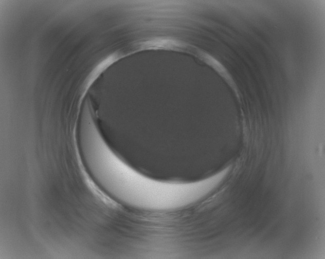 X0000082180946200701270023