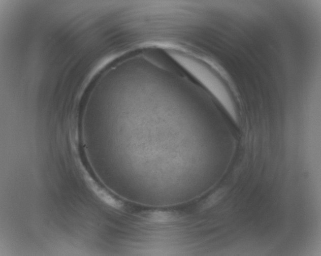 X0000082180984200701270022