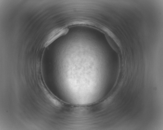 X0000082180993200701270022