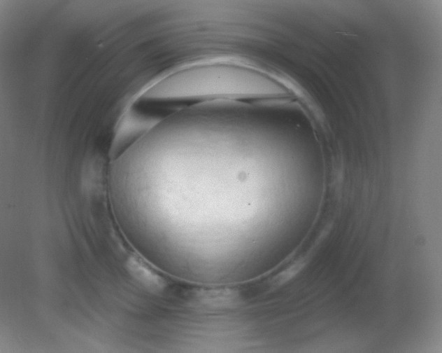 X0000082181001200701270022