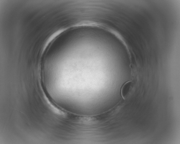 X0000082181003200701270022