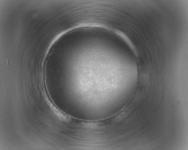 X0000082181004200701270022