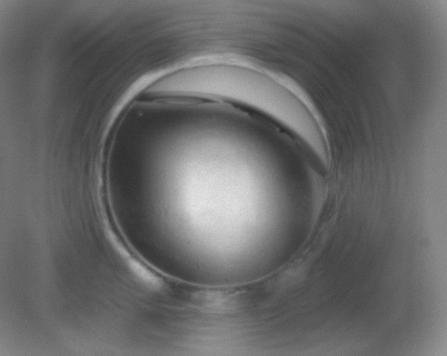 X0000082181005200701270022