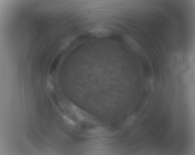 X0000082181010200701270021