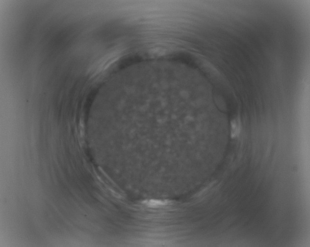 X0000082181011200701270021