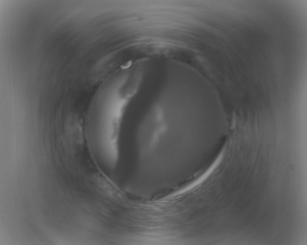 X0000082181013200701270021